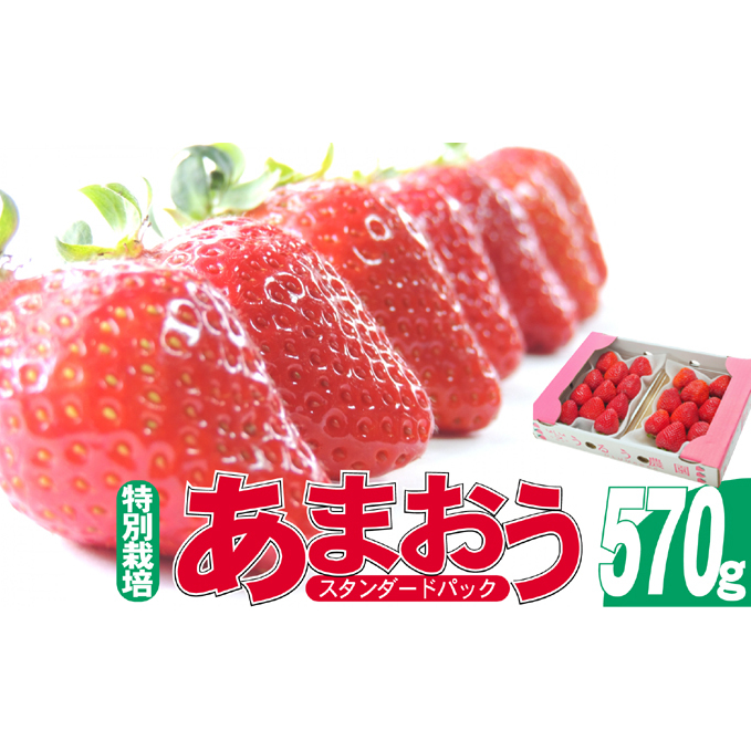 いちご 2027年2月より発送 うるう農園のあまおう スタンダード2パック 約570g 果物 フルーツ デザート 食後 特別栽培 福岡県産 国産 日本産 ※配送不可：離島