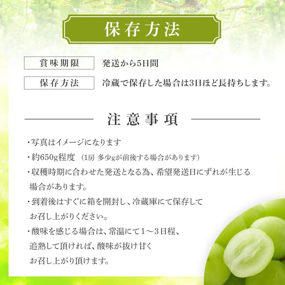 ＜2026年度＞【貝塚市産】ご家庭用シャインマスカット 約2kg（2～3房）ブドウ葡萄果物フルーツ果物