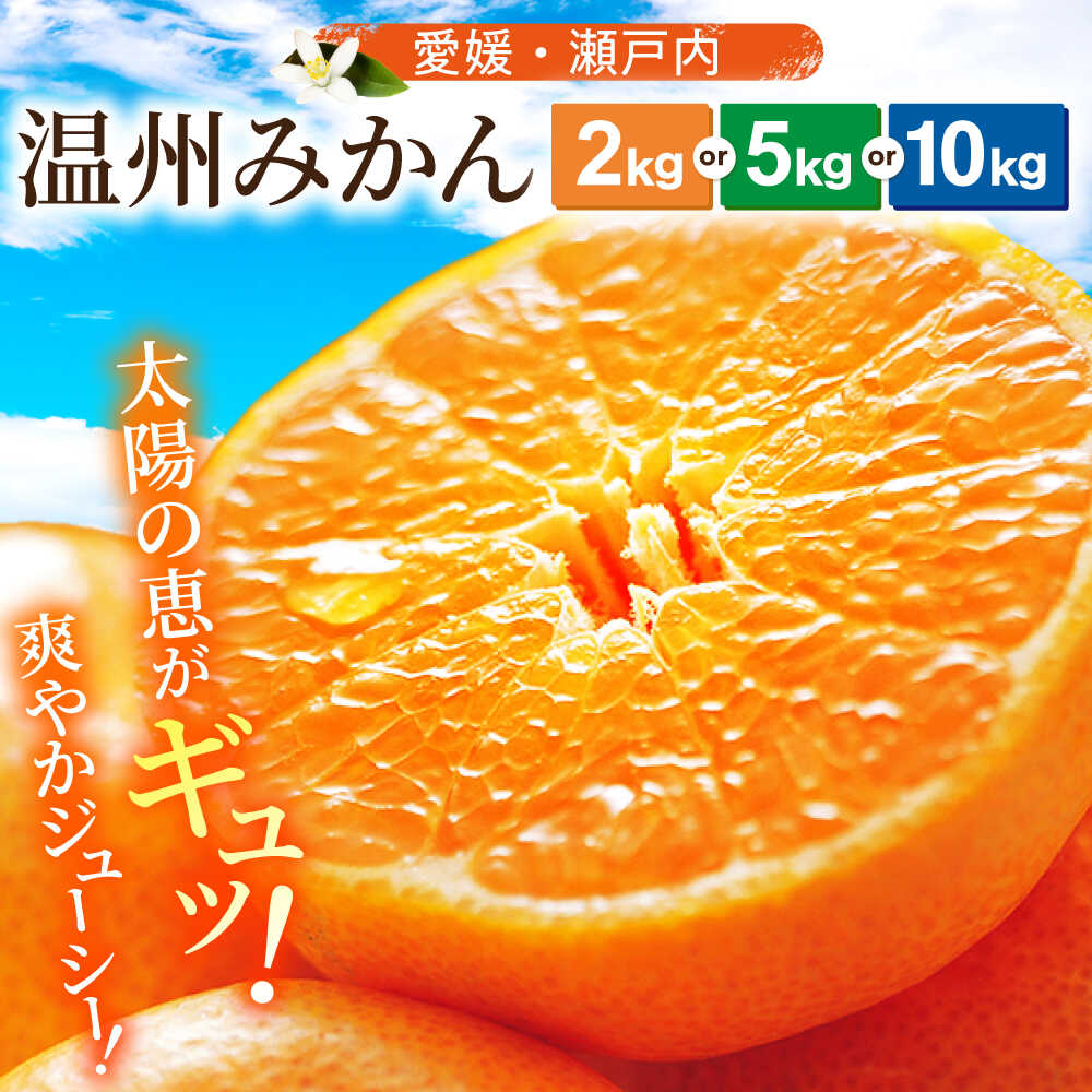 【ふるさと納税】【11月中旬より順次発送】【選べる容量】温州みかん（S~Lサイズ）2～10kg 果物 大洲市/沢井青果有限会社 [AGBN047] みかん ミカン 蜜柑 温州みかん 果物 くだもの フルーツ 愛媛県産 大洲市産 産地直送 おすすめ 人気 お取り寄せ 送料無料 贈答 ギフト