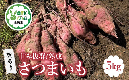 さつまいも 5kg サツマイモ 芋《訳あり》