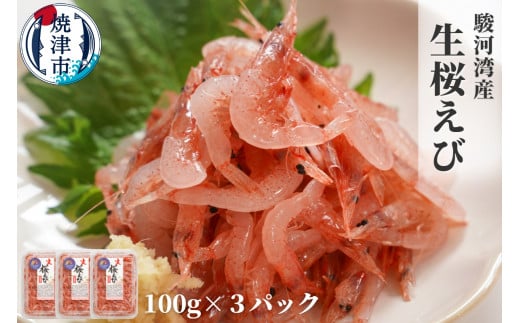 
a10-679　焼津特選 生桜えび100g×3
