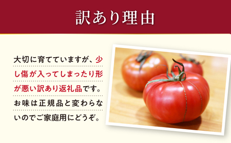 今シーズン 訳ありトマト ルビーのしずく1.2kg | トマト ／CCK025