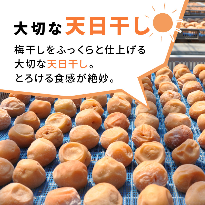 昔ながらのしょっぱい梅干し 2kg 中粒2L（白干梅）［無添加］【ご家庭用】食品添加物 不使用 すっぱい梅干 和歌山県産 紀州南高梅【0580-5】