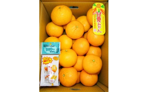 B361-15 甘夏　優2L　約１０kg