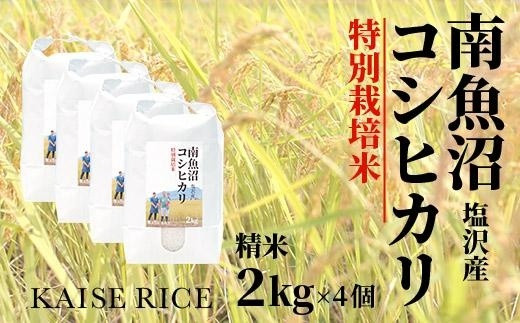 
南魚沼産塩沢コシヒカリ【従来品種】（特別栽培米８割減農薬）精米２ｋｇ×４個
