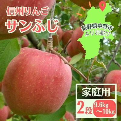 【ふるさと納税】信州りんご サンふじ(2段)計9.6kg～10kg 家庭用_ りんご ふじ サンふじ リンゴ 林檎 甘い 人気 訳あり 信州 長野県 産地直送 不揃い 傷 家庭用 自宅用 約10kg 秋 冬 くだもの 果物 果実 フルーツ 送料無料 【1508408】