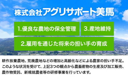 【 先行予約 】大寒に着く寒餅杵つき (白・よもぎ・こきび・たかきび) 4種類 36個 アグリサポート美馬 《1月中旬‐2月上旬頃出荷》 餅 もち きねつき餅 杵つき もち米 送料無料 徳島県 美馬市