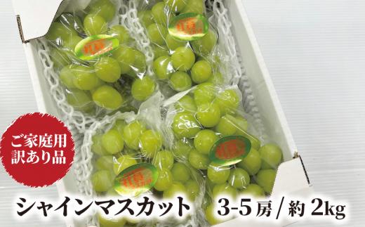 KF-B020-02【きよとうファーム】訳ありだけど、甘～いシャインマスカット/約2kg (岡山県産)