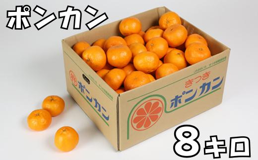 ポンカン 8kg（バラ詰め） ／ ミカン みかん 蜜柑 柑橘類 8kg 先行予約 1月 甘い ポンカン フルーツ ＜132-005_5＞