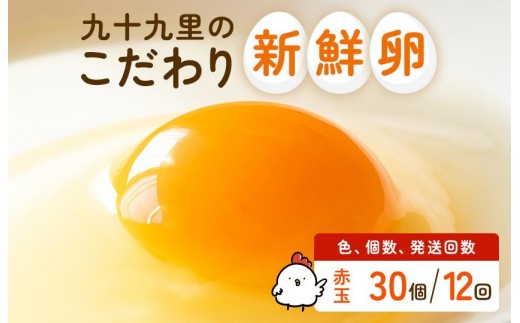【定期便12回】九十九里ファームこだわりたまご贈答用30個～あおい海・みどりの里～《赤玉》 30個 たまご 定期便 12回 卵 玉子 タマゴ 卵かけご飯 新鮮 旨み 甘み 贈答用 贈答 ギフト 贈り物 千葉県 匝瑳市
