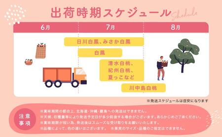 【産直・人気の特産品】和歌山の桃　約4kg・秀選品★2025年6月下旬～8月上旬頃順次発送★【TM168】