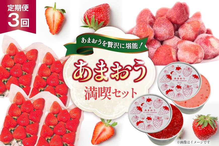 
                  いちご あまおう 満喫セット 3回 定期便 【2027年発送】 [THE FARM_strawberry 福岡県 宇美町 um40azo780015] 苺 イチゴ 冷凍いちご 冷凍あまおう 冷凍イチゴ 冷凍苺 甘い あまい アイス ジェラート シャーベット フルーツ 果物  定期
                