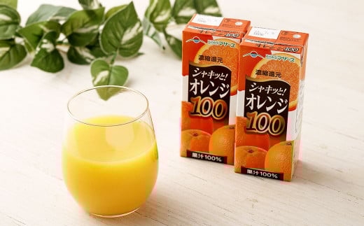 オレンジ100 200ml×12本 合計2400ml 厳選 みかん 果汁 100% 濃縮還元 ミカン オレンジ ジュース みかんジュース 常温 飲料 熊本県 らくのうマザーズ