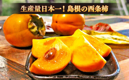 西条柿のドライフルーツと干し柿Lのセット　《23014-11》