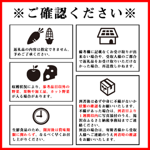 岩手県産 野菜セット 5品 ～ 6品 3ヶ月 定期便 ／ 野菜 やさい 詰め合わせ 詰合せ 詰合わせ 旬 新鮮 国産 季節 季節野菜 おまかせ 春野菜 夏野菜 秋野菜 山菜 葉野菜 葉物 根菜 果菜 