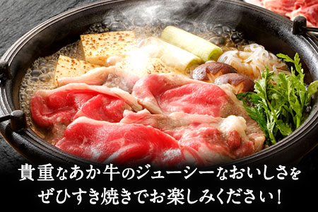 熊本県産和牛 肥後のあか牛すき焼き用500g《90日以内に出荷予定(土日祝除く)》牛 牛肉 すき焼き 牛すき焼き 牛肉料理 熊本県 葦北郡 津奈木町 津奈木食品