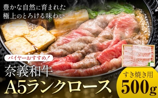 奈義和牛 A5ランクロース バイヤーおすすめ！ すき焼き用 500g 株式会社 天満屋《30日以内に出荷予定(土日祝除く)》岡山県 矢掛町 和牛 牛肉 肉 A5ランク すき焼き 送料無料