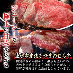i317 ≪鹿児島県産黒毛和牛≫出水市産北さつまのむら牛 黒毛和牛＜計1kg＞サーロインステーキ(200g×2枚)、リブロース(300g×2パック)のセット！肉質のきめが細かく旨味の凝縮された牛肉をす
