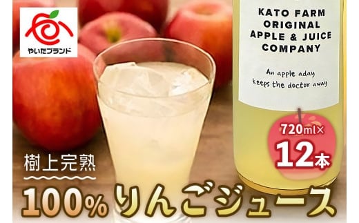栃木県矢板市産 樹上完熟100％りんごジュース 720ml×12本入  | 林檎 リンゴ 果汁100% 産地直送