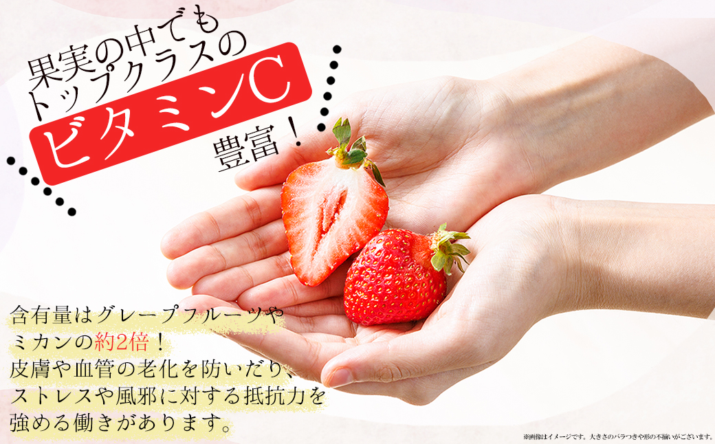 2VB6【福岡県産あまおう】 訳あり グランデ　約270ｇ×6Ｐ