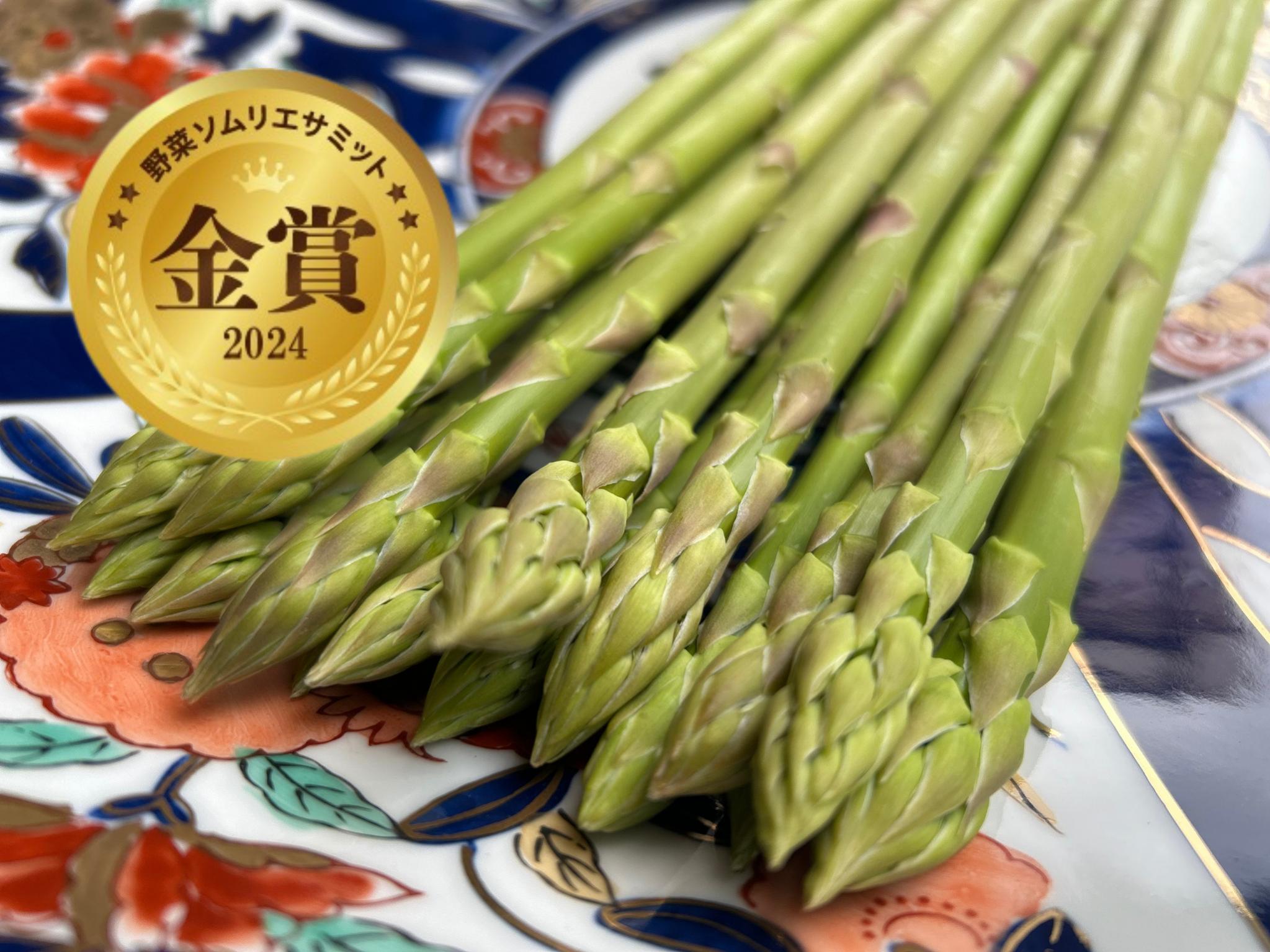 【先行受付　令和8年3月より順次発送】野菜ソムリエサミット『金賞』受賞、自噴水と寒暖差が育んだアスパラ定期便1ｋｇ×6回 999-B854