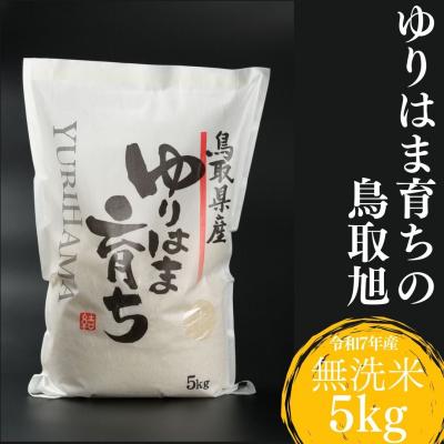 ふるさと納税 湯梨浜町 ゆりはま育ちの鳥取旭◇無洗米5kg◇令和7年産(375K.)