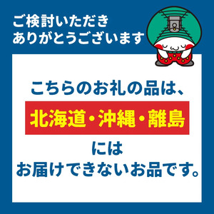 【定期便6回】やわらかもつ煮（500g×6P）｜ 肉 にく お肉  もつ煮  自慢 パーティー 食卓 おかず 真岡市 栃木県 送料無料 定期便