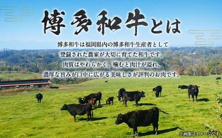 【博多和牛】サイコロステーキ500g (自家製 旨辛みそたれ付き)