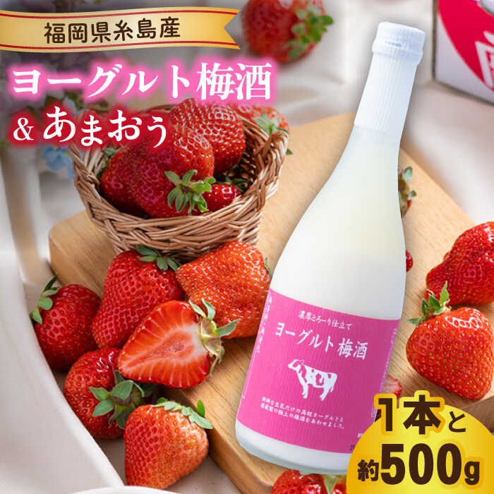 【ふるさと納税】【先行予約】【春】ヨーグルト梅酒720ml ×あまおう 約250g×2パック 【2026年2月上旬以降順次発送】 糸島市 / 南国フルーツ株式会社 [AIK013]14000円 先行予約