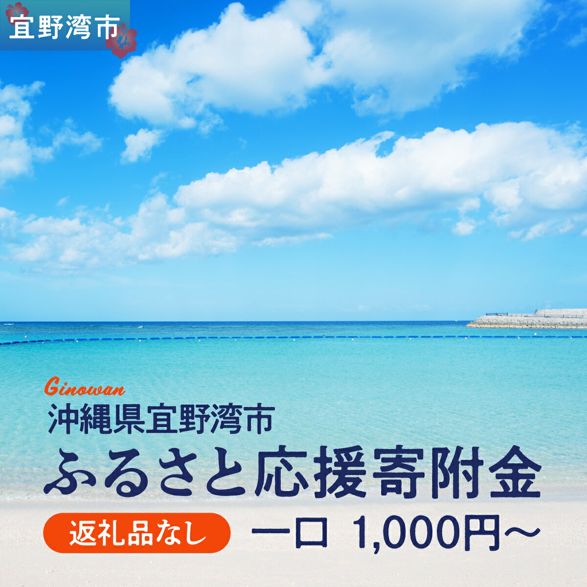 【ふるさと納税】【返礼品なし】沖縄県宜野湾市ふるさと応援寄附金 一口 1,000円～ 寄附のみの応援 寄附のみ 返礼品なし 返礼品無し 御礼品なし 御礼品無し
