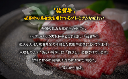 佐賀ざんまい！厳選6種焼肉盛り合わせ1000g（4～5人前） 佐賀牛 肩ロース カルビ 肥前さくらポーク 豚バラ 豚ロース 有明骨太鶏 モモ D-646