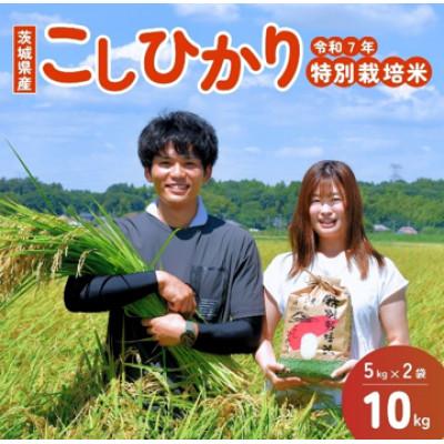 ふるさと納税 龍ケ崎市 【令和7年産】龍ケ崎の特別栽培米コシヒカリ 10kg(5kg×2袋)