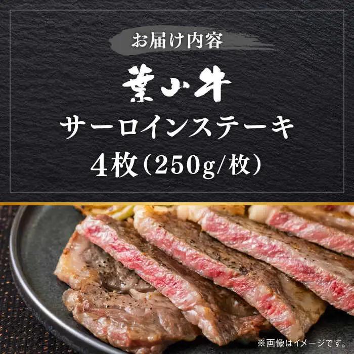 葉山牛サーロインステーキ 1kg  [ASBD018]