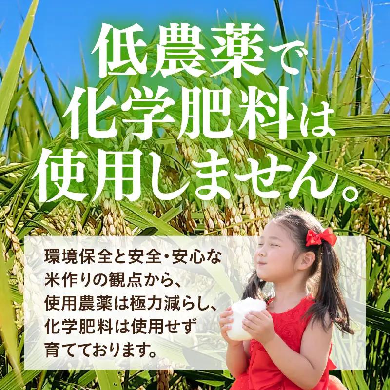 【先行予約】【令和8年産】定期便 ≪3ヶ月連続お届け≫ 化学肥料不使用 てんこもり 精米 5kg × 3回（合計15kg） / 白米 米 福井県あわら市産 美味しい 特別栽培米 減農薬 安心な米 旨味