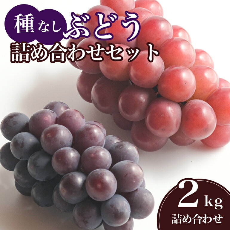 【ふるさと納税】【 2025年 先行予約 】 種なし ぶどう 詰合せ 2kg 石田ぶどう園 3房 〜 6房 詰め合わせ おまかせ お任せ ぶどう ブドウ 国産 果物 葡萄 種無し フルーツ 2キロ 9月 10月 発送 秋 旬 品種 産地直送 産直 農家直送 冷蔵 茨城県 石岡市 送料無料 (A02-009)