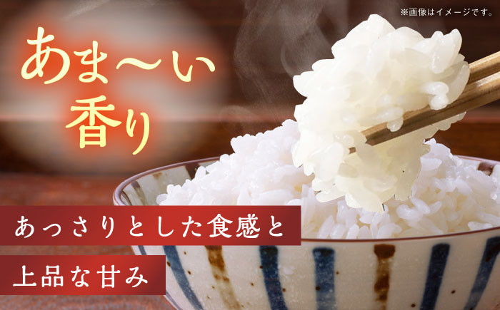 米 お米 コメ 白米 精米 無洗米 5kg 国産 長崎