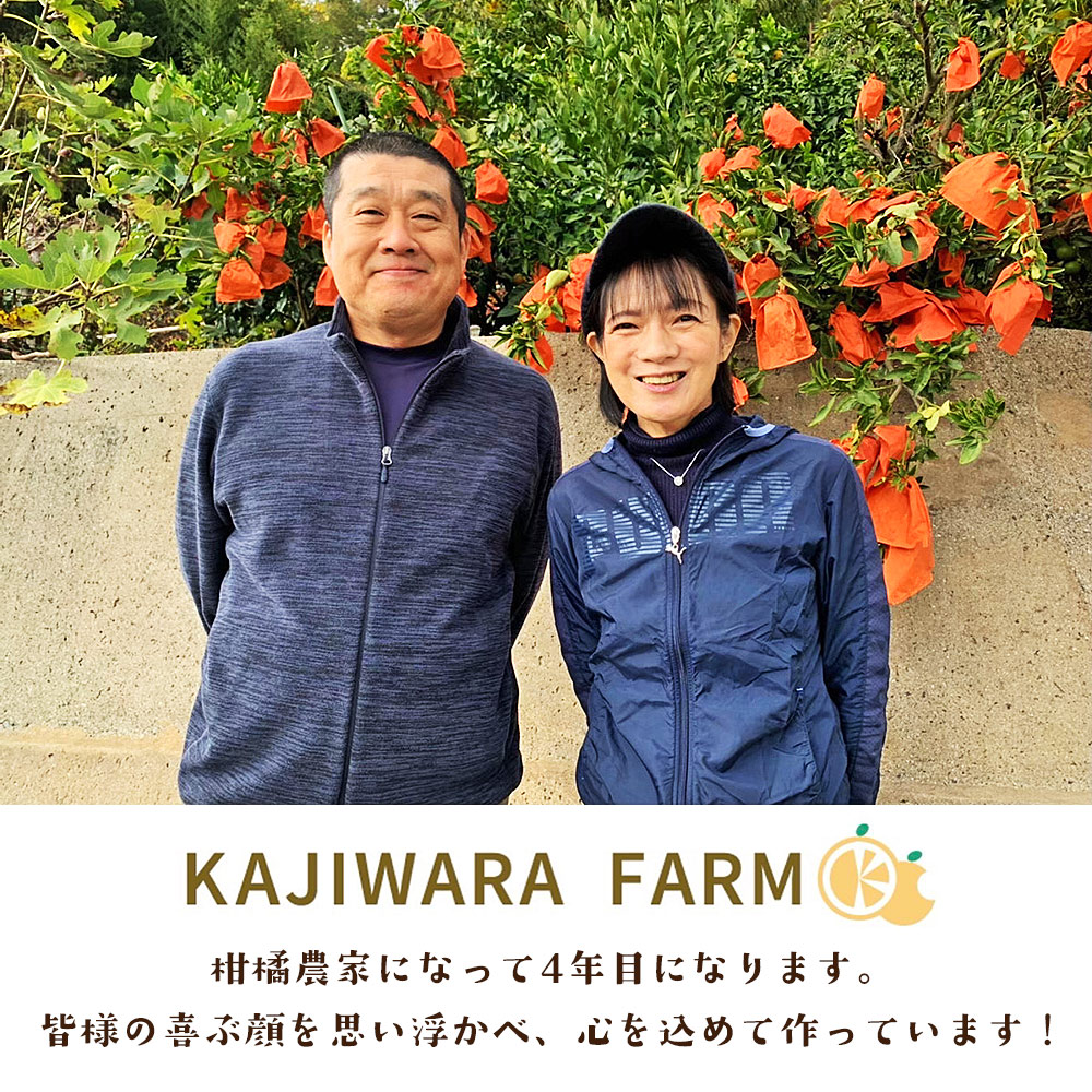 ＜柑橘100％ジュース （温州みかん4本＆愛果28号2本）＞ 温州みかん 愛果28号 紅まどんな 高級柑橘 ストレートジュース 果汁100％ ミカン 蜜柑 果物 柑橘 かじわらFARM 愛媛県 西予市【常温】『1か月以内に順次出荷予定』