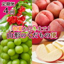 【ふるさと納税】【定期便4回】初夏から冬まで！山形のくだもの便 【令和6年産先行予約】FS23-701