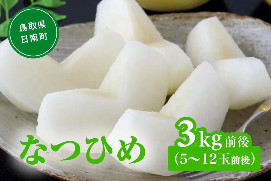 【令和9年産先行予約】なつひめ 3kg(5～12玉前後) 梨 なし 果物 日南町 高間商店
