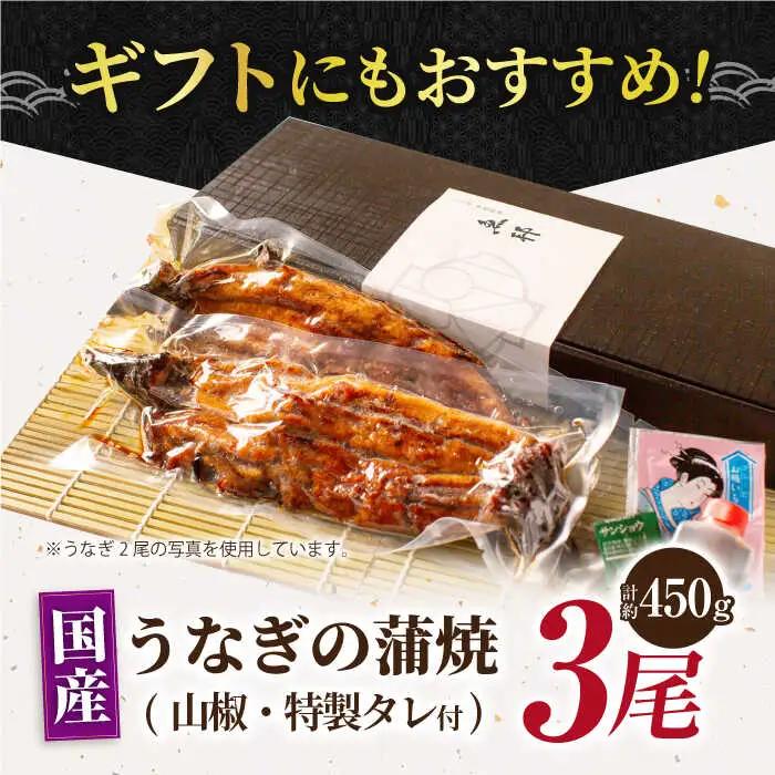 うなぎ蒲焼 3尾  [AVBH006]ウナギ鰻