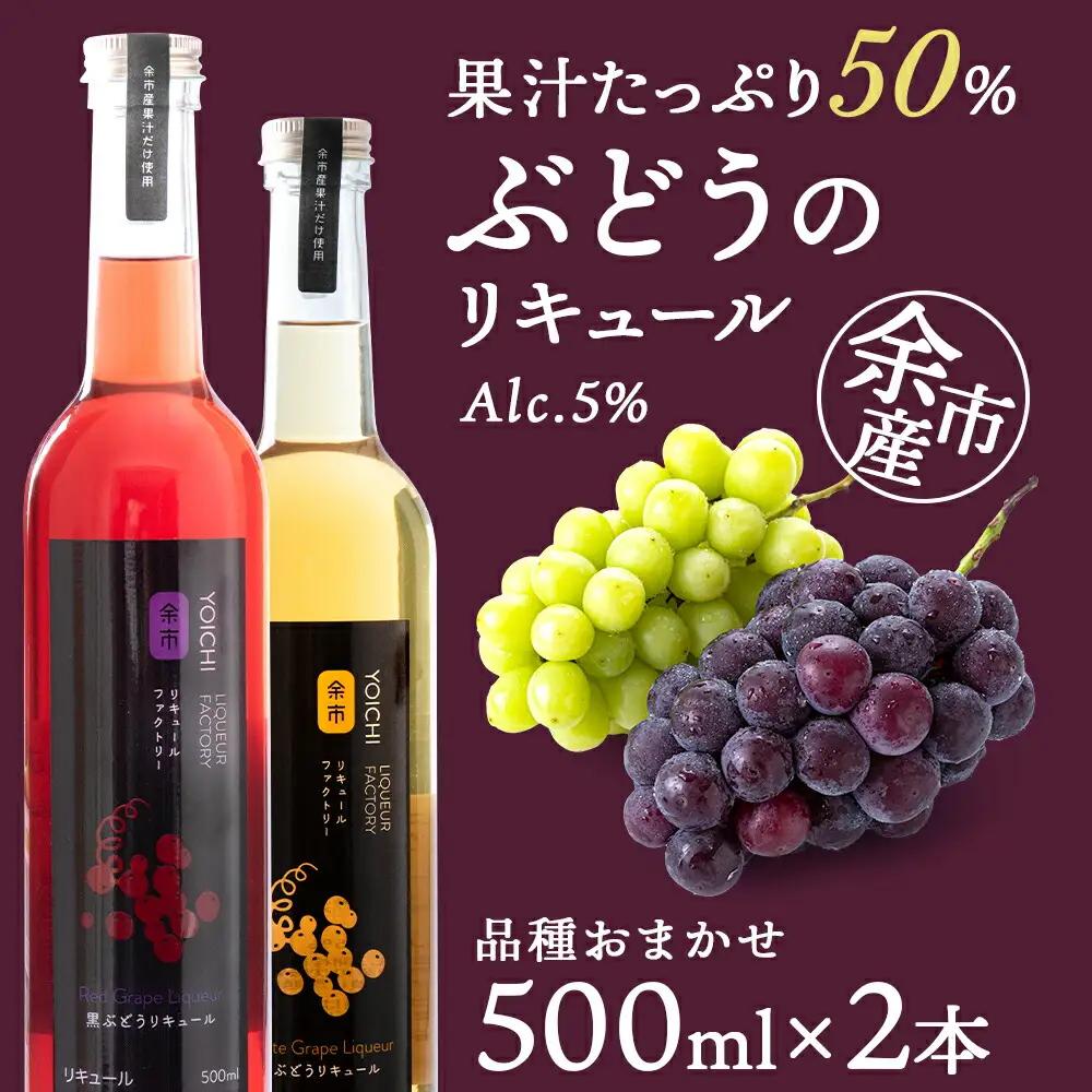 ぶどうリキュール2本【品種おまかせ】フルーツリキュール フルーツ お酒 100％リキュール ぶどうリキュール 果物リキュール くだもの リキュールセット ギフト 北海道リキュール 余市リキュールファクトリー_Y020-0609