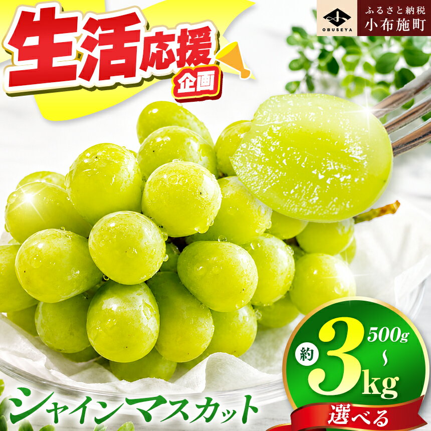シャインマスカット（約1kg）
