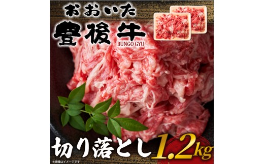 おおいた豊後牛切り落とし 1.2kg(600g×2p) | 和牛 豊後牛 国産牛 すき焼き しゃぶしゃぶ 大分県産 九州産 津久見市 国産