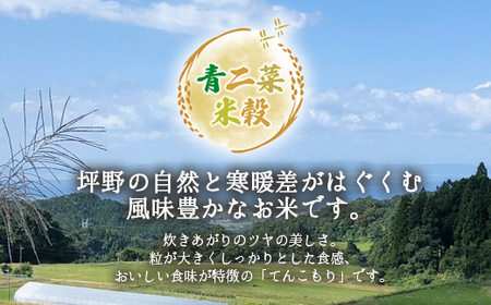 山の湧き水 寒暖差 山里 山里の米･坪野棚田米 R7年産 てんこもり5kg ※北海道・沖縄・離島への配送不可　※2025年10月中旬～2026年9月中旬頃に順次発送予定