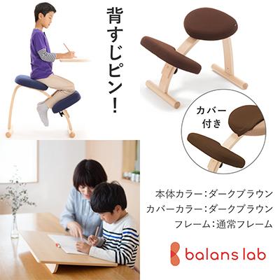 ふるさと納税 美濃市 バランスイージー 通常[ダークブラウン]カバー付+イージーライティングボードM【複数個口で配送】