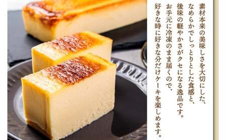 チーズケーキ プレーン 550g×1本 スイーツ チーズケーキ