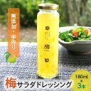 【ふるさと納税】無添加手作り 梅 サラダ ドレッシング 180ml×3本 無添加 手作り 濃厚 香り 爽やか パスタ お肉料理 梅エキス ギフト 贈り物 プレゼント お取り寄せ 地元食材 逸品 おすすめ 送料無料