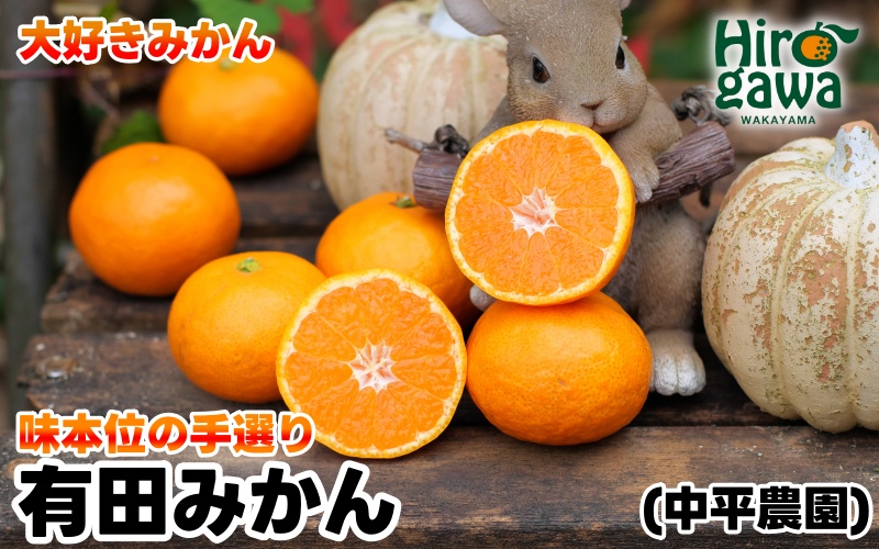 ▼大好きみかん 5kg ご家庭用 サイズ混合 ※11月中旬頃より12月下旬頃に順次発送予定 【nkh004-c-5】