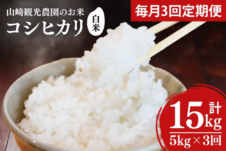 
                  【先行予約】★令和8年産★【全3回定期便】＜毎月＞山﨑観光農園のお米　コシヒカリ　白米5kg｜栃木県 益子町 ふるさと納税 お米 米 白米 精米 5kg 定期便 （AU030）
                