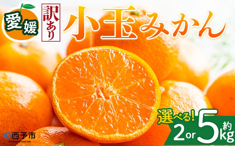 
                  ＜【訳あり】愛媛県産 小玉みかん 約2kg／5kg＞『2026年11月上旬～1月下旬迄順次発送予定』 選べる 容量 内容量 わけあり 小さい こだま みかん 蜜柑 訳あり 果物 くだもの フルーツ ミカン 果汁 国産 特産品 株式会社三代目みかん職人 愛媛 西予市【常温】
                